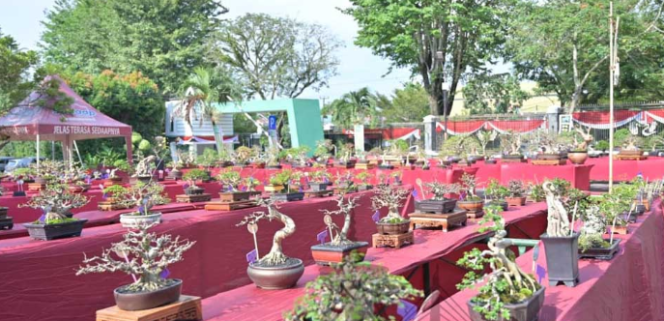 
					Wali Kota Maulana Resmi Buka Pameran Bonsai Nasional 2026 di Kota Jambi, Dorong Ekonomi Kreatif